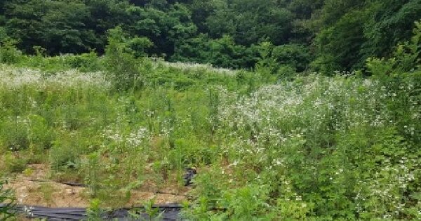 충청남도 천안시 동남구 목천읍 신계리 255-1  미지정 경매 물건 이미지