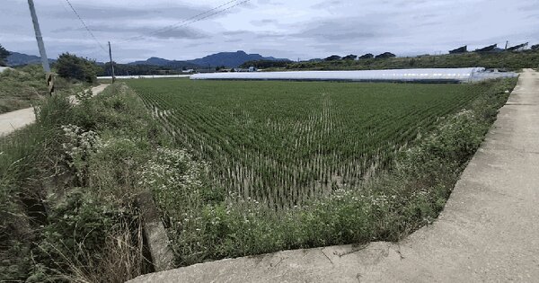 전북특별자치도 순창군 금과면 발산리 404  미지정 경매 물건 이미지