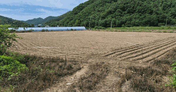 충청북도 음성군 생극면 신양리 175-4  미지정 경매 물건 이미지