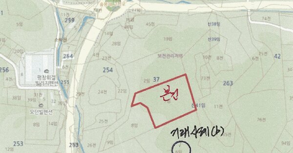 강원특별자치도 평창군 대관령면 용산리 산37-7  미지정 경매 물건 이미지