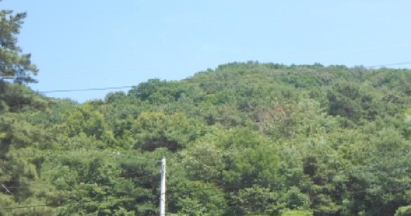 세종특별자치시  전동면 미곡리 산4  미지정 경매 물건 이미지