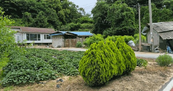 충청북도 음성군 금왕읍 육령리 88  미지정 경매 물건 이미지