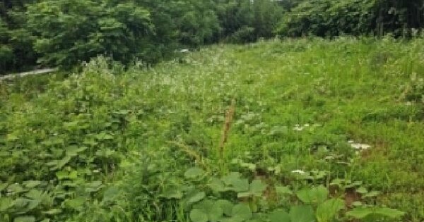 전라남도 해남군 옥천면 송산리 228-1  미지정 경매 물건 이미지