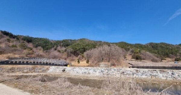 충청남도 금산군 진산면 삼가리 산39 임야 경매 물건 이미지