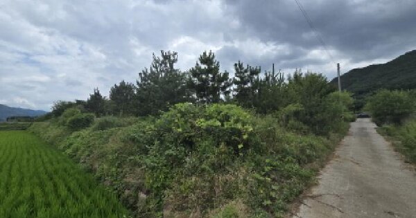 울산광역시 울주군 웅촌면 은현리 1018-1 답 경매 물건 이미지