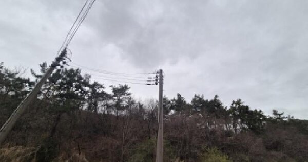 전라남도 영광군 염산면 두우리 산104 임야 경매 물건 이미지