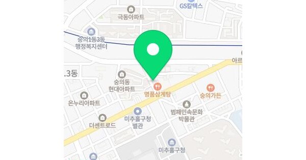 인천광역시 미추홀구 숭의동 129-67 다인리치뷰  13층1303호 미지정 경매 물건 이미지