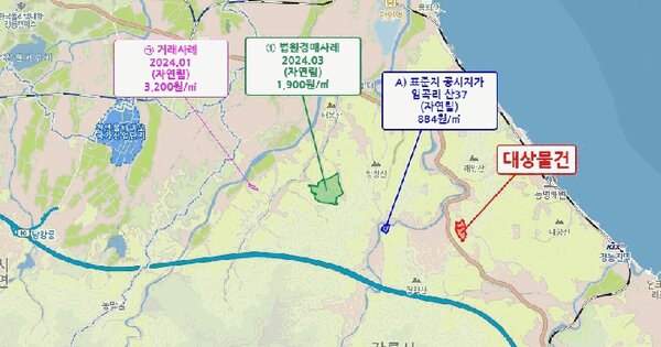 강원특별자치도 강릉시 강동면 임곡리 산5  미지정 경매 물건 이미지