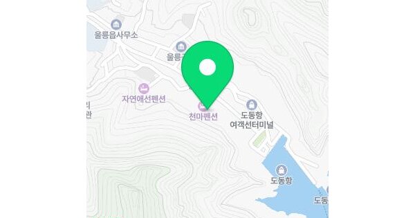 경상북도 울릉군 울릉읍 도동리 148-21  미지정 경매 물건 이미지