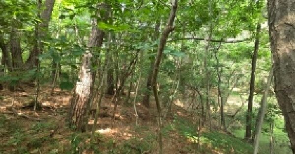 전북특별자치도 정읍시 정우면 장순리 59  미지정 경매 물건 이미지
