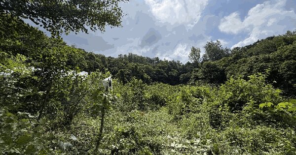 충청북도 충주시 수안보면 온천리 44  미지정 경매 물건 이미지