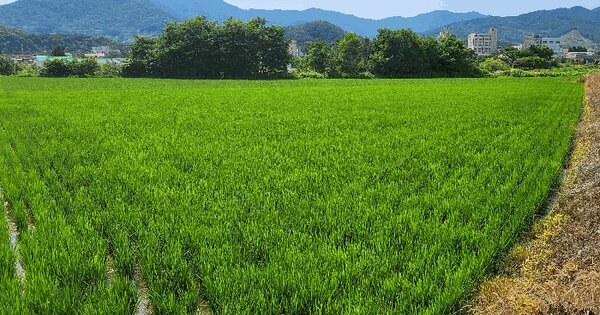 충청남도 예산군 덕산면 읍내리 38-2  미지정 경매 물건 이미지
