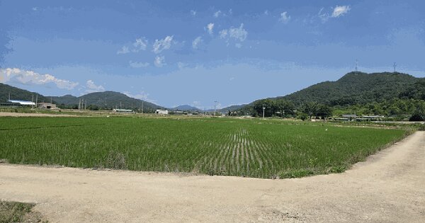 경상북도 고령군 우곡면 도진리 686  미지정 경매 물건 이미지