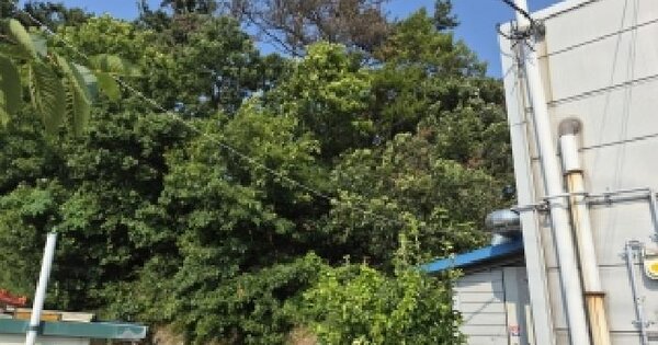 전북특별자치도 군산시 옥구읍 어은리 31-24  미지정 경매 물건 이미지