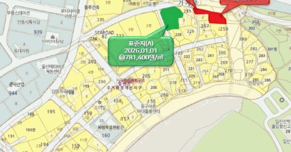 울산광역시 동구 일산동 257-1  미지정 경매 물건 이미지