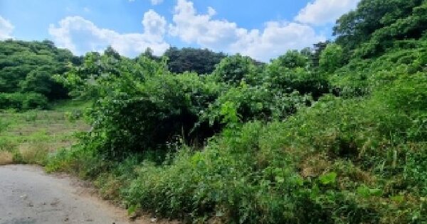 전북특별자치도 순창군 순창읍 백산리 206  미지정 경매 물건 이미지