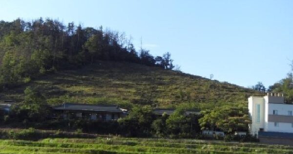경상북도 칠곡군 약목면 관호리 산26-16  미지정 경매 물건 이미지