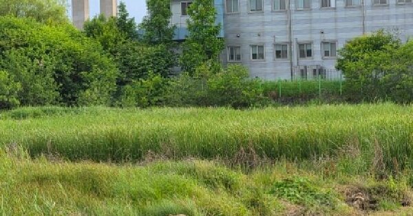경기도 평택시 포승읍 만호리 332-2  미지정 경매 물건 이미지