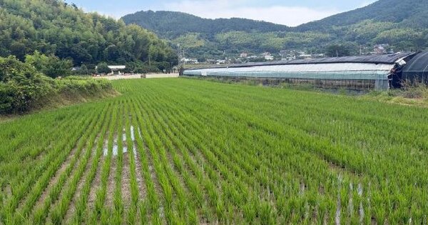 경상남도 거제시 하청면 실전리 645-1  미지정 경매 물건 이미지
