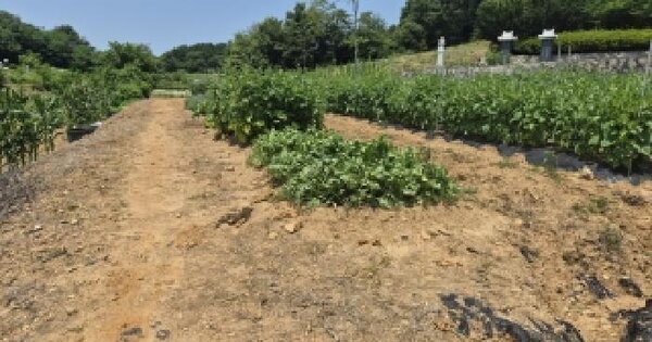 전북특별자치도 군산시 회현면 원우리 501-1  미지정 경매 물건 이미지