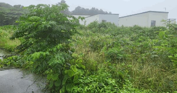 제주특별자치도 제주시 조천읍 와산리 1401-5  미지정 경매 물건 이미지