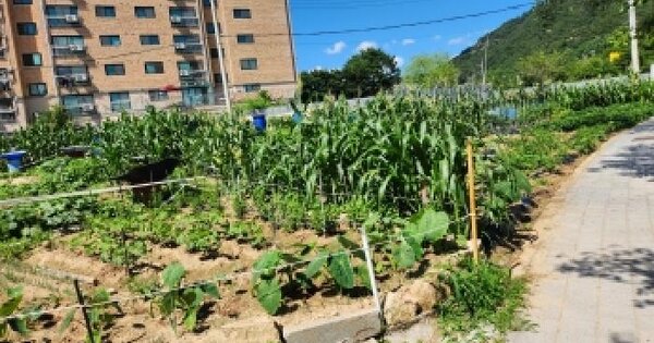 경기도 양주시 삼숭동 185-7  미지정 경매 물건 이미지