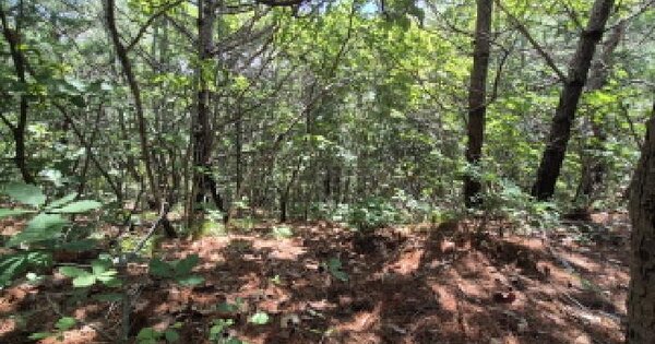 강원특별자치도 고성군 죽왕면 삼포리 274  미지정 경매 물건 이미지