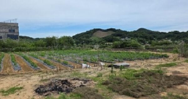 충청남도 예산군 응봉면 신리 126  미지정 경매 물건 이미지