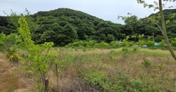충청남도 예산군 덕산면 대치리 71-2  미지정 경매 물건 이미지