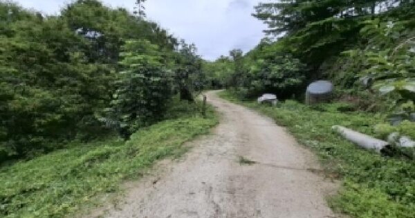 경상남도 산청군 삼장면 덕교리 1015-3  미지정 경매 물건 이미지