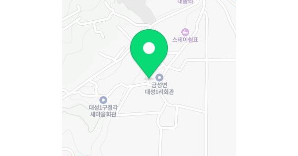 전라남도 담양군 금성면 대성리 781  미지정 경매 물건 이미지