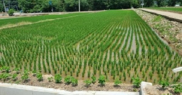 전북특별자치도 장수군 산서면 쌍계리 773  미지정 경매 물건 이미지