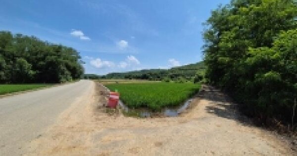 강원특별자치도 철원군 동송읍 관우리 1214  미지정 경매 물건 이미지