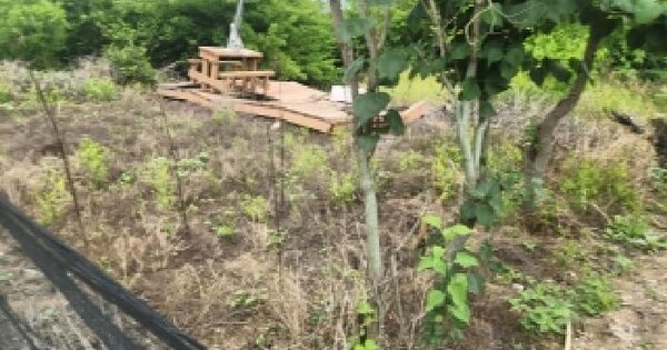 인천광역시 강화군 길상면 동검리 256  미지정 경매 물건 이미지
