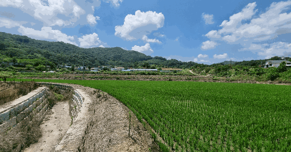 충청북도 청주시 서원구 남이면 산막리 257 답 경매 물건 이미지