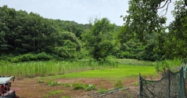 충청남도 예산군 대술면 이티리 361-1  미지정 경매 물건 이미지