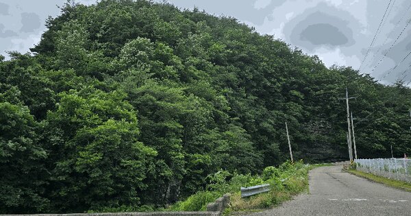 경상북도 영덕군 달산면 매일리 산30  미지정 경매 물건 이미지