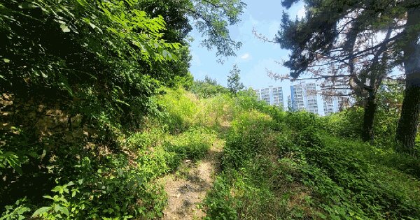 경상남도 김해시 진영읍 진영리 609-1  미지정 경매 물건 이미지