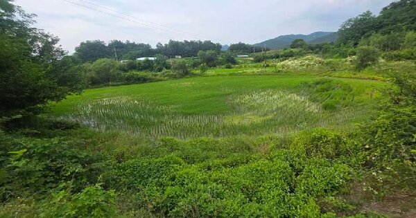 충청북도 제천시 두학동 725-2  미지정 경매 물건 이미지