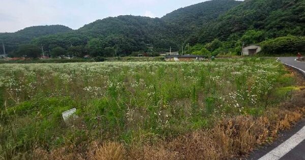 충청북도 제천시 두학동 316-1  미지정 경매 물건 이미지