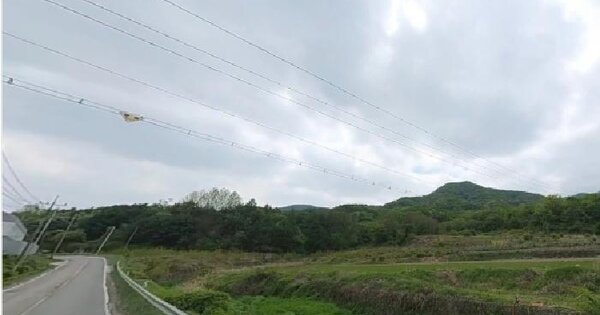 충청북도 음성군 음성읍 용산리 1747  미지정 경매 물건 이미지