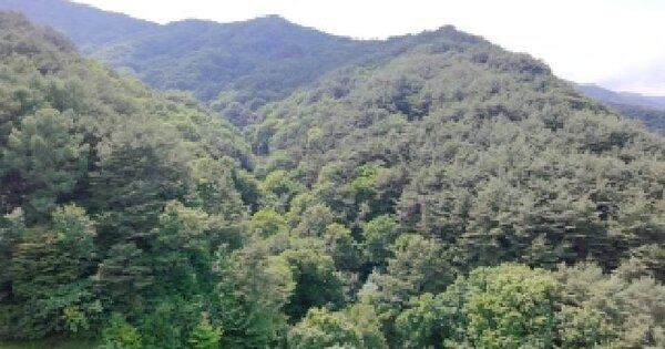 경상남도 함양군 안의면 상원리 산22  미지정 경매 물건 이미지