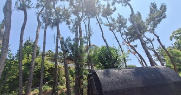 경기도 안산시 단원구 대부남동 909-4  미지정 경매 물건 이미지