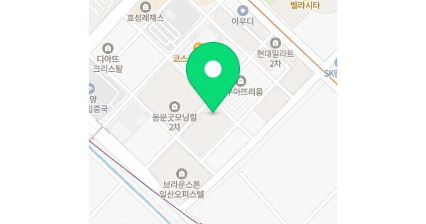 경기도 고양시 일산동구 백석동 1318 비잔티움일산1단지  8층803호 미지정 경매 물건 이미지