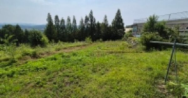 경기도 연천군 왕징면 북삼리 216-1  미지정 경매 물건 이미지