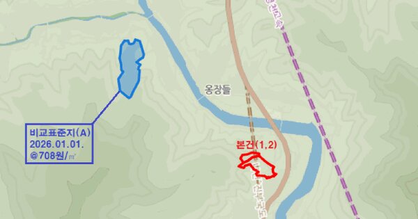 강원특별자치도 평창군 진부면 마평리 산247  미지정 경매 물건 이미지