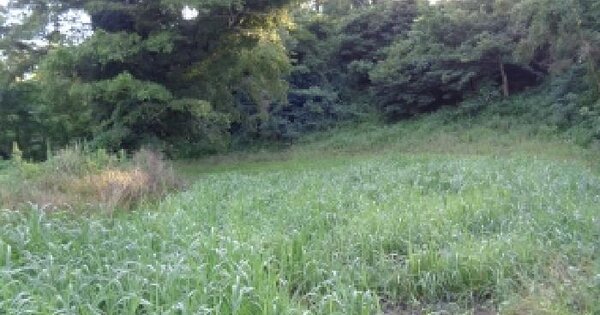 제주특별자치도 제주시 애월읍 광령리 762  미지정 경매 물건 이미지