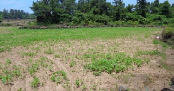 제주특별자치도 제주시 한경면 고산리 2567-1  미지정 경매 물건 이미지