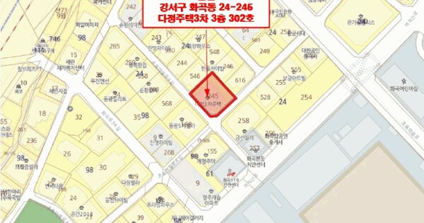 서울특별시 강서구 화곡동 24-245  제3층 제302호 미지정 경매 물건 이미지