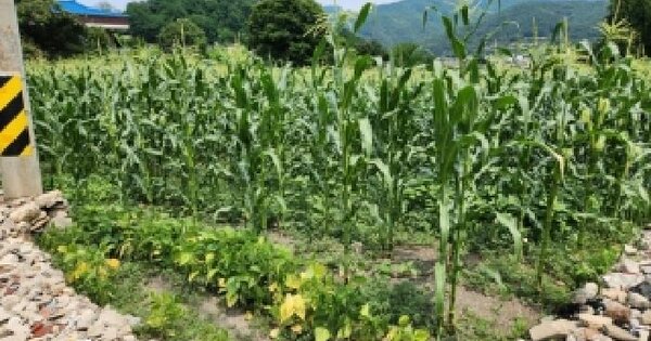 경기도 동두천시 상봉암동 260-33  미지정 경매 물건 이미지